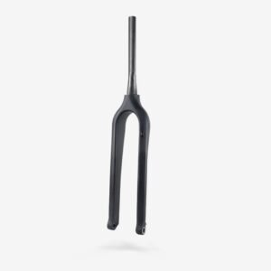 Possible Carbon Fork - E-Bike (500mm)